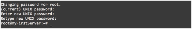 how to install a web server 4